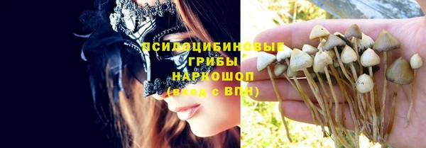 хмурый Горнозаводск