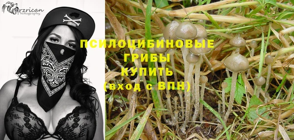 СК Горняк