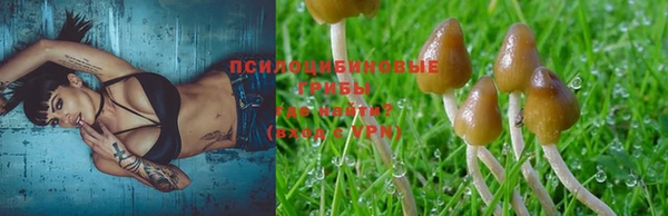 хмурый Горнозаводск