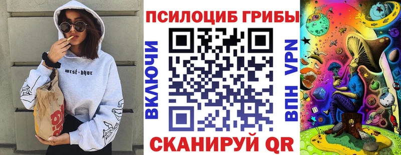 mega вход  купить наркоту  Подольск  Галлюциногенные грибы Psilocybine cubensis 